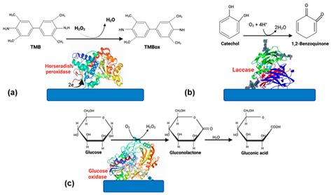Enzyme (Single and Multiple) and Nanozyme Biosensors: Recent ...