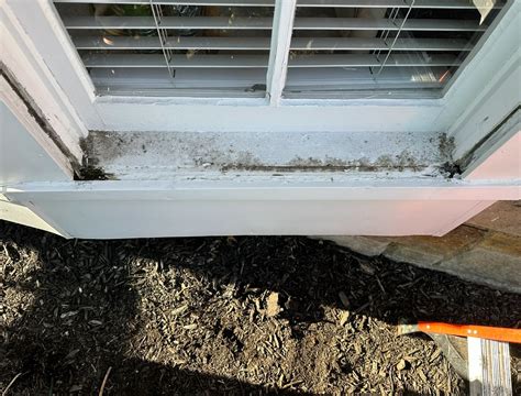 Image result for How to Restore Window Timber Frame