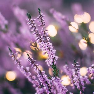 The Times of Northwest Indiana Memorials and Obituaries | We Remember