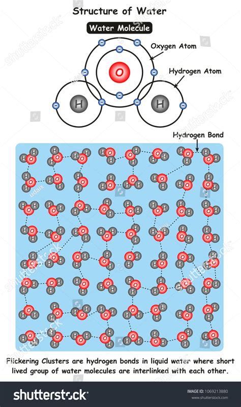 Water 的图像结果