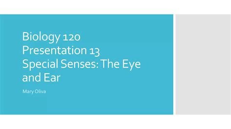 Chapter 13 - Special Senses: Eye and Ear Abbreviations | PPTX