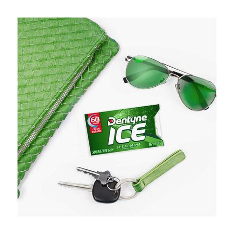 Buy Dentyne Ice Spearmint Sugar Free Gum, 16 pcs from Dollar General ...