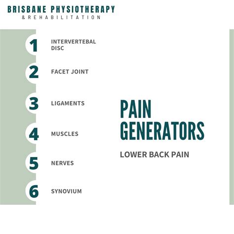 Image result for Common Lower Back Muscle Pain