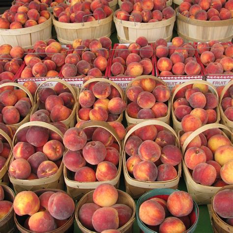 FRUIT ACRES FARM MARKET AND U-PICK (2025) All You Need to Know BEFORE ...