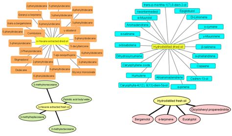 Comparative GC-MS Analysis of Fresh and Dried Curcuma Essential Oils ...