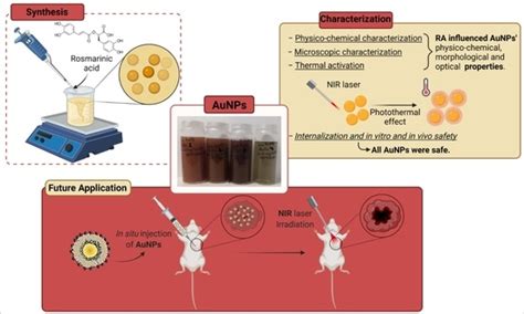 The Role of Rosmarinic Acid on the Bioproduction of Gold Nanoparticles ...