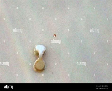 Image result for US Navy Evidence Collection