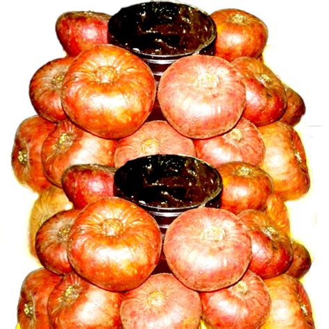 Buy Online Grocery and Other Daily Essentials from Best Online Store ...