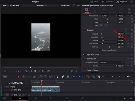 DaVinci Resolve Cropping 的图像结果