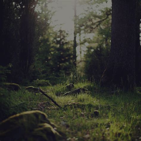 Dark Moody Wallpapers - Top Free Dark Moody Backgrounds - WallpaperAccess