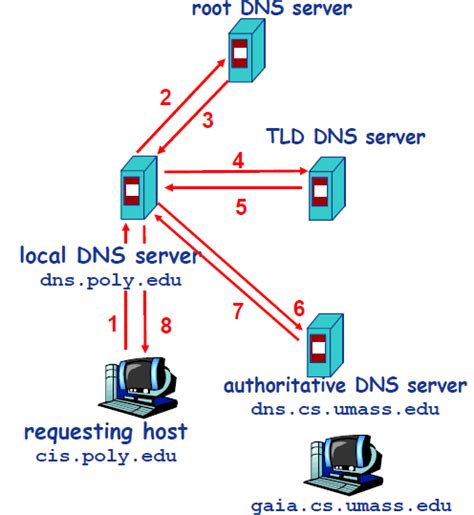 DNS 的图像结果