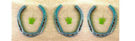 Authentic Used Horseshoe - Good Luck Charm - Rustic - Lucky Gift by ...