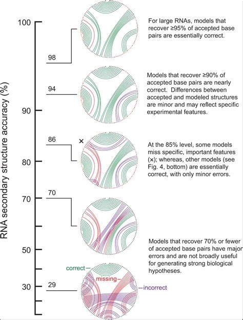 RNA Model 的图像结果