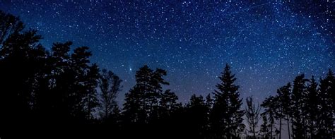 Image result for Night Shift Models Work Bench