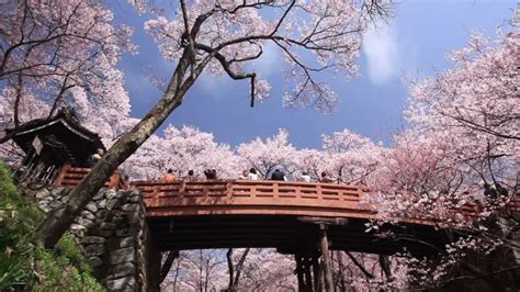 Takatojoshi Park, ina, Japan - Top Attractions, Things to Do ...