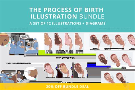 Illustrations — The Educated Birth