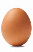 egg 的图像结果