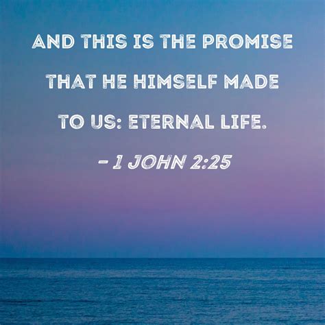 1 John 2:25 And this is the promise that He Himself made to us: eternal ...