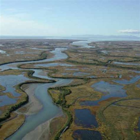 Copper River Delta – WHSRN