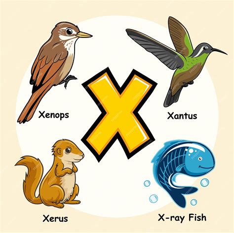 Animals That Start With X