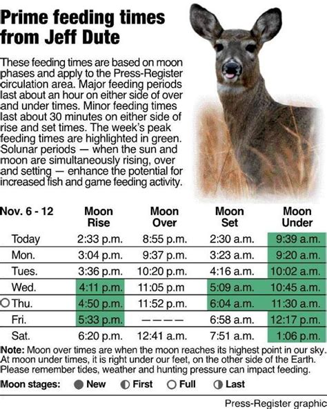 Deer Movement Times Chart By Zip Code - timechartprintables.com