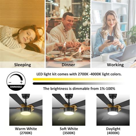 CARRO USA Granby 52-in Black Indoor/Outdoor Smart Ceiling Fan with ...