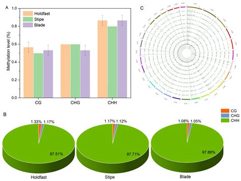 Genome-Wide Mapping of Cytosine Methylation Revealed Dynamic DNA ...