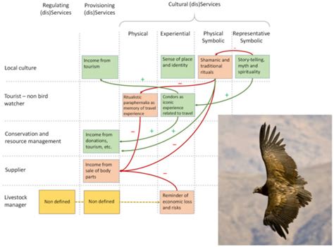Emerging Patterns in Cultural Ecosystem Services as Incentives and ...