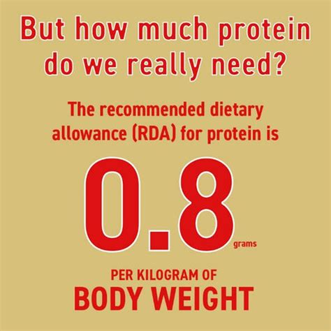 How much Protein is simply too much? – Bagrry's