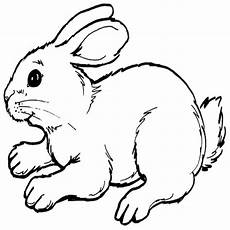 malvorlage hase einfach malvorlage hase einfach carsmalvorlage store malvorlage hase einfach malvorlage hase einfach carsmalvorlage store