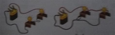 Compare the given diagrams. Write any 2 similarities and 2 ...