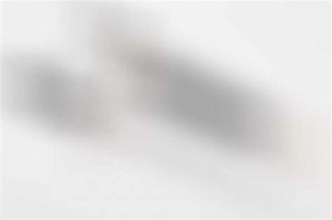 ratisbon's | RLB leader's dagger with hanger "Witte" - 1st pattern ...