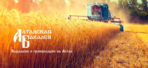 ООО Алтайская Бакалея - Оптовые поставки бакалейной продукции по России