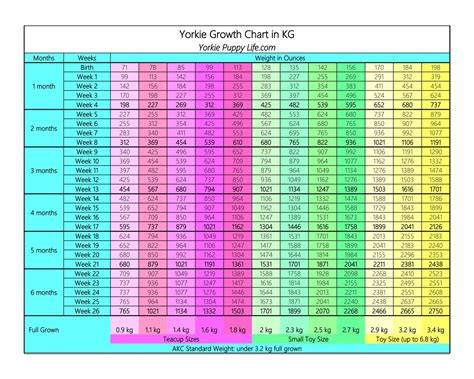 Yorkie Weight Chart