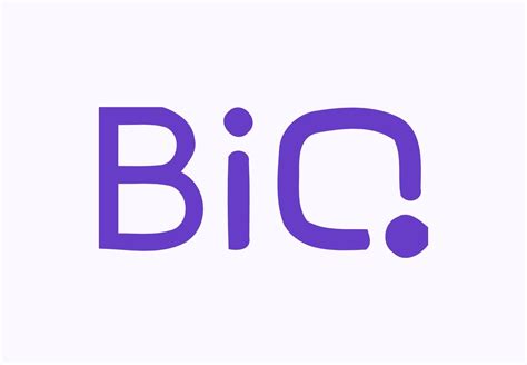 Image result for Biq Example