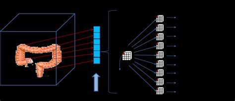 Image result for Parallelize Processing Using Cuda
