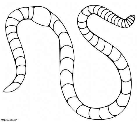 Earthworm Coloring Page Free Printable Coloring Pages Wiggly Worm