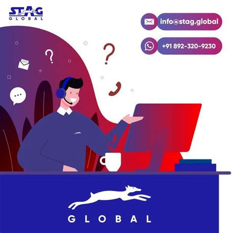 STAG GLOBAL Deluxe 1000 DX Table Tennis Table | 25mm Blue Top with 2 T ...