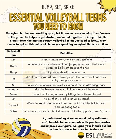 Essential Volleyball Terms to Understand This Exciting Sport - ESLBUZZ