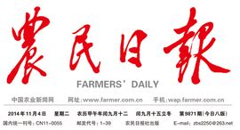 田阳：白天种番茄晚上唱戏 和谐新农村幸福新农民-广西人民广播电台