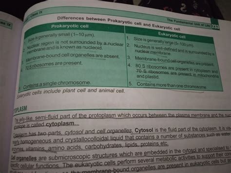 Explain the ribosomes and their function in the prokaryotic and ...