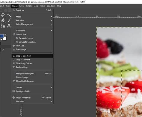 Image result for GIMP Selection Tool Tutorial