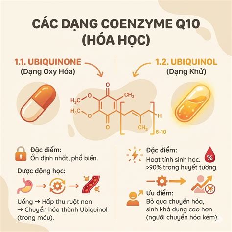 Coenzyme Q10 (CoQ10) Có Những Loại Nào? Top 5 viên uống bổ sung CoQ10