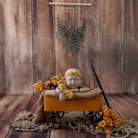 Ready Made Themes – Madras Prop Store