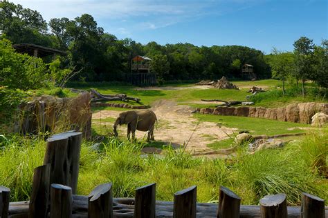 10 of the Best Zoos in Texas | Texas Heritage for Living