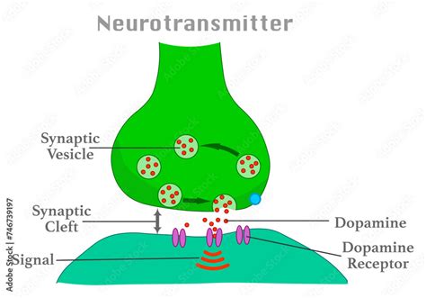 Image result for National Operating Module