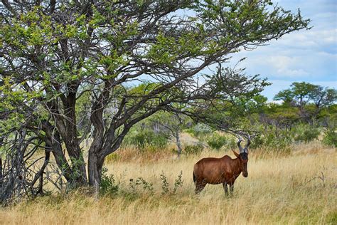 El Conquistador online - Señal en vivo - 91.3 MHz FM, Santiago de Chile ...