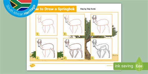 How to Draw a Springbok (teacher made) - Twinkl