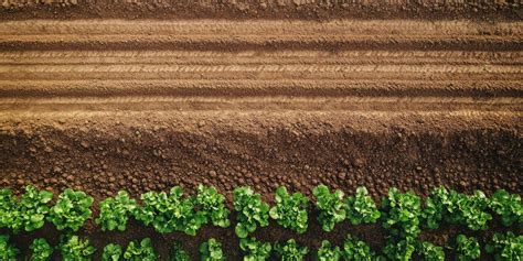 Background for Agriculture 的图像结果