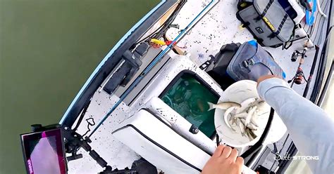 Image result for Cast Net Mullet Run